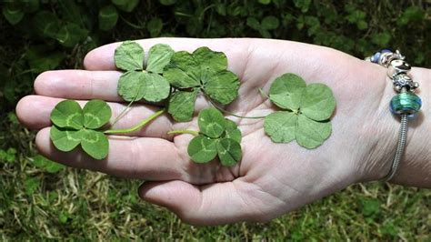 The surprising odds of finding a four.